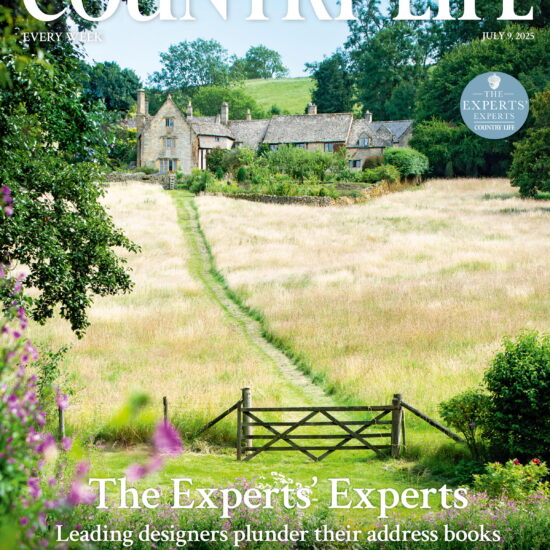 Inside Country Life Magazine – Architecture, Heritage, and the Soul of Rural Britain with John Goodall